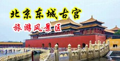 毛茸茸的骚逼中国北京-东城古宫旅游风景区